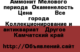 Аммонит Мелового периода. Окаменелость. › Цена ­ 2 800 - Все города Коллекционирование и антиквариат » Другое   . Камчатский край